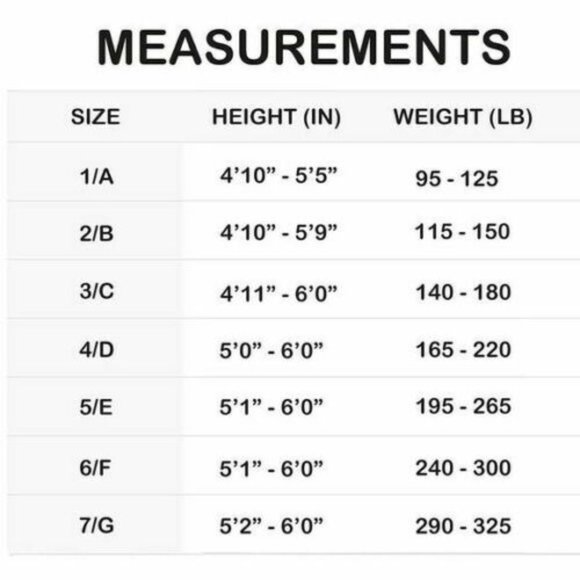 Spanx Assets Sensational Shaper Buff 5 E - Picture 2 of 3